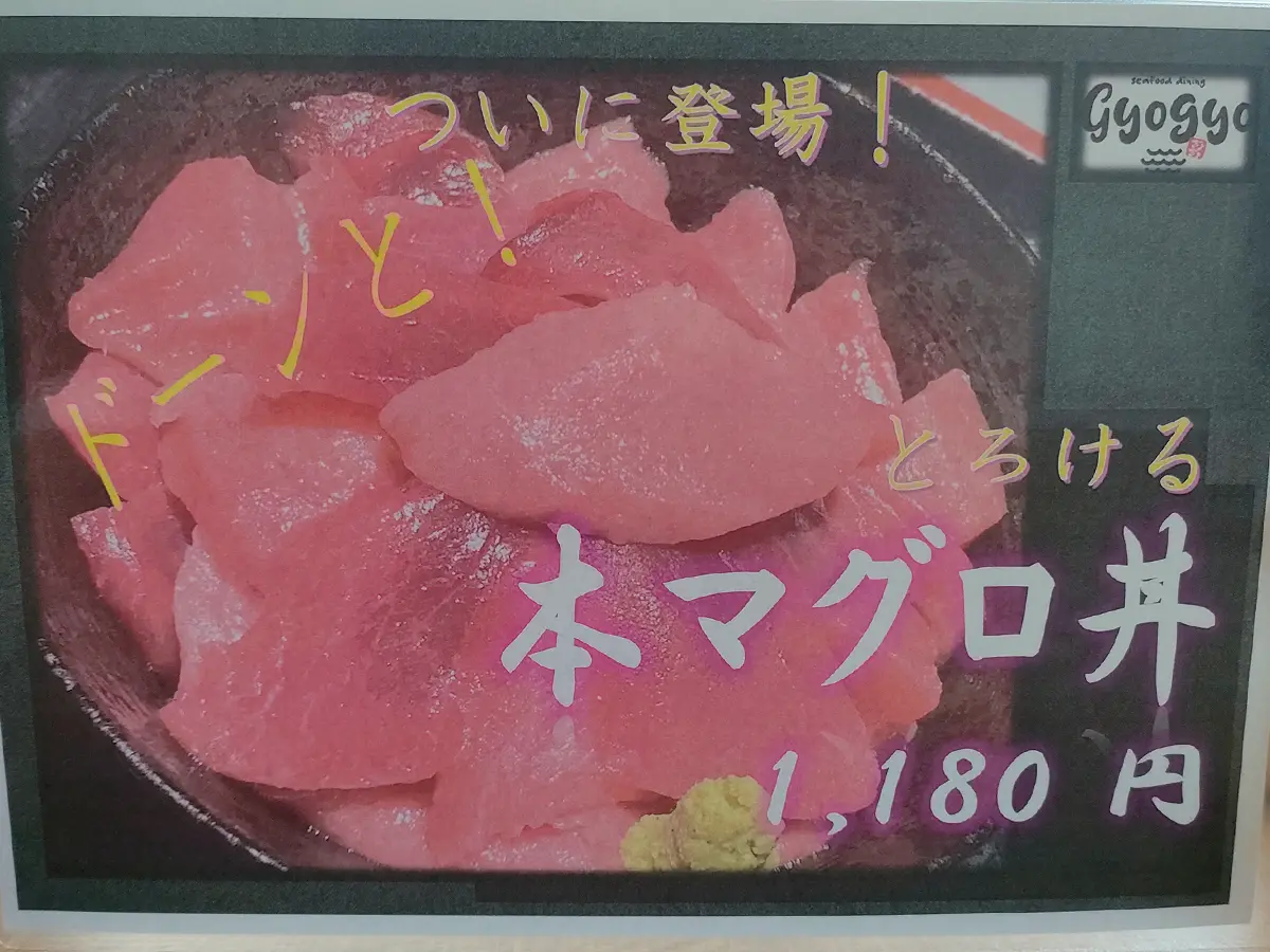 gyogyo　ぎょぎょ　ランチ　メニュー　本マグロ丼